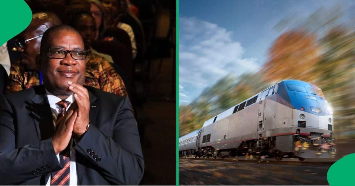 Gauteng Premier Panyaza Lesufi Wants Gauteng to Limpopo Train, SA Reacts [Video]