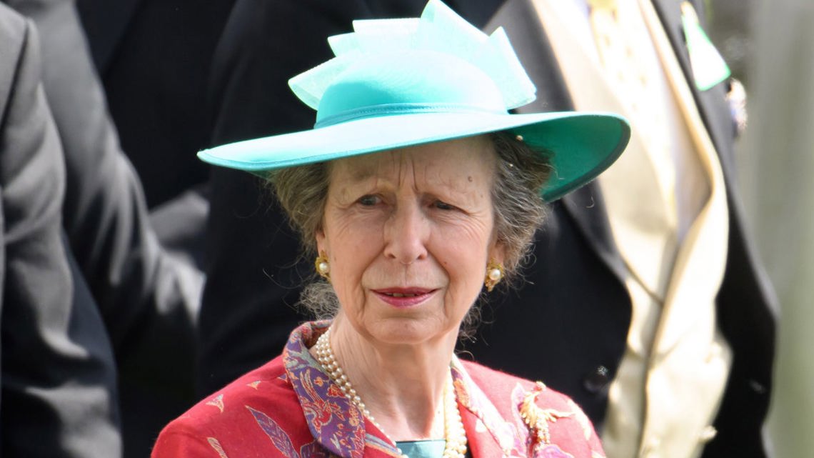 Princess Anne Experiencing Memory Loss After Hospitalization for Concussion [Video]