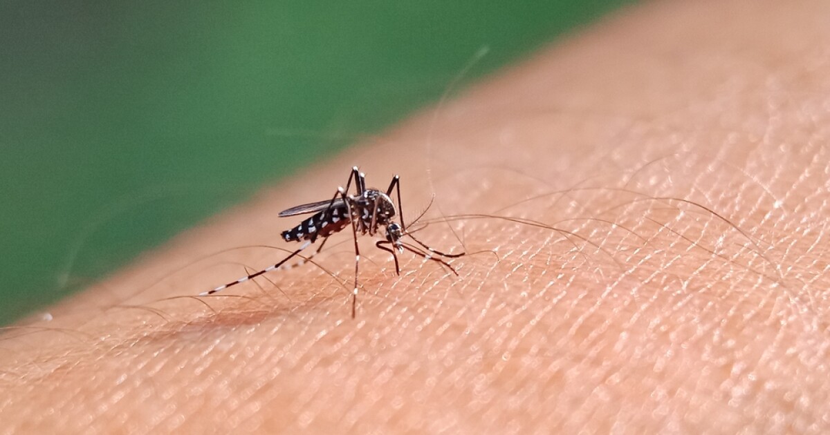 First cases of West Nile virus reported in Clark County patients, says SNHD [Video]