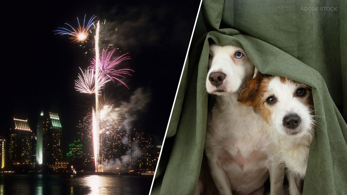 Pets and fireworks: How to keep your pets calm during 4th of July [Video]