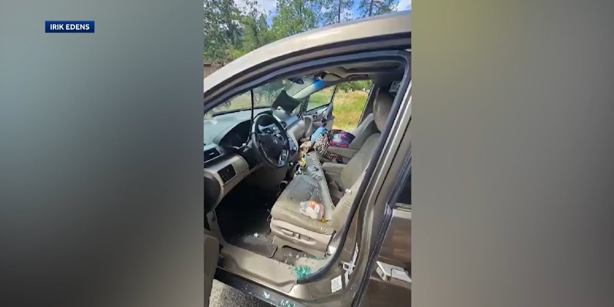 Bear destroys familys van on camping trip, defecates inside: It stinks in there [Video]