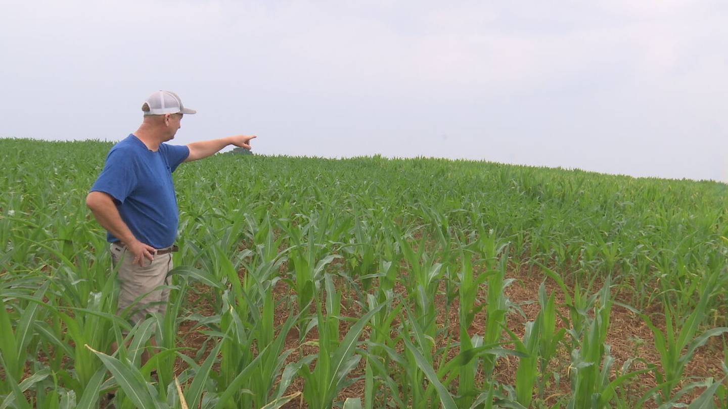 Growing drought impacts crops across North Carolina  WSOC TV [Video]