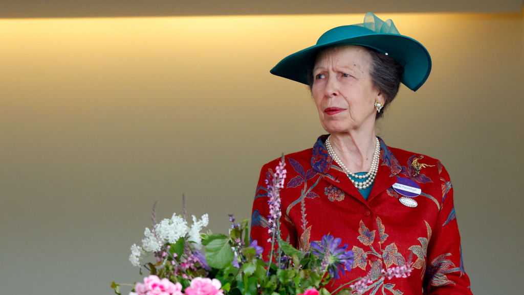 Princess Anne out of hospital after suffering head injury [Video]