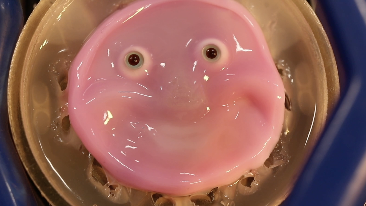 This smiling robot has a face covered in living skin [Video]
