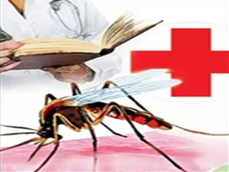 Monsoon Season Spurs Dengue Surge, K’taka tops with 5,374 cases, 5 deaths [Video]