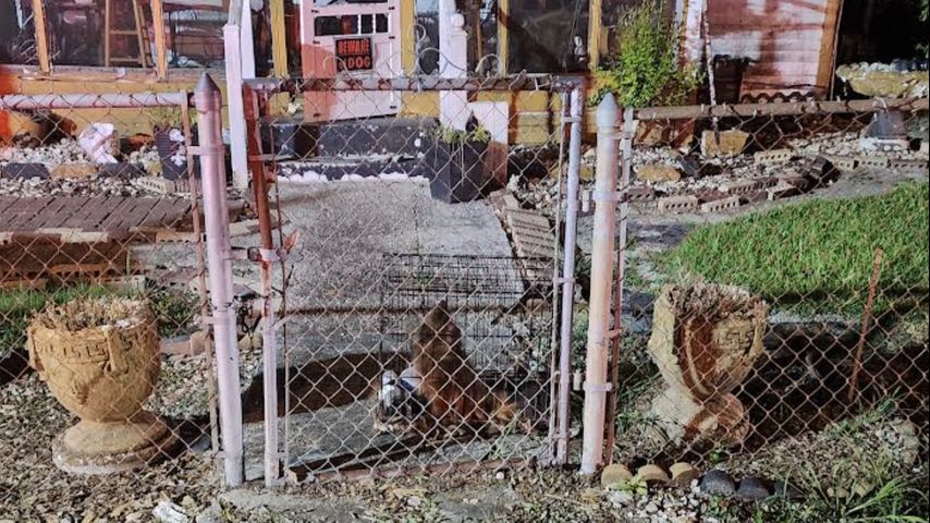Dog rescued from late-night fire off Plank Road; investigators determining cause [Video]