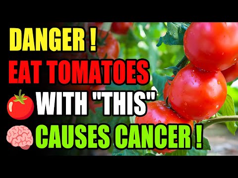 Never eat tomatoes with “this” 🍅 ! Causes cancer and memory loss  🧠! Solution! Healthy lifestyle [Video]