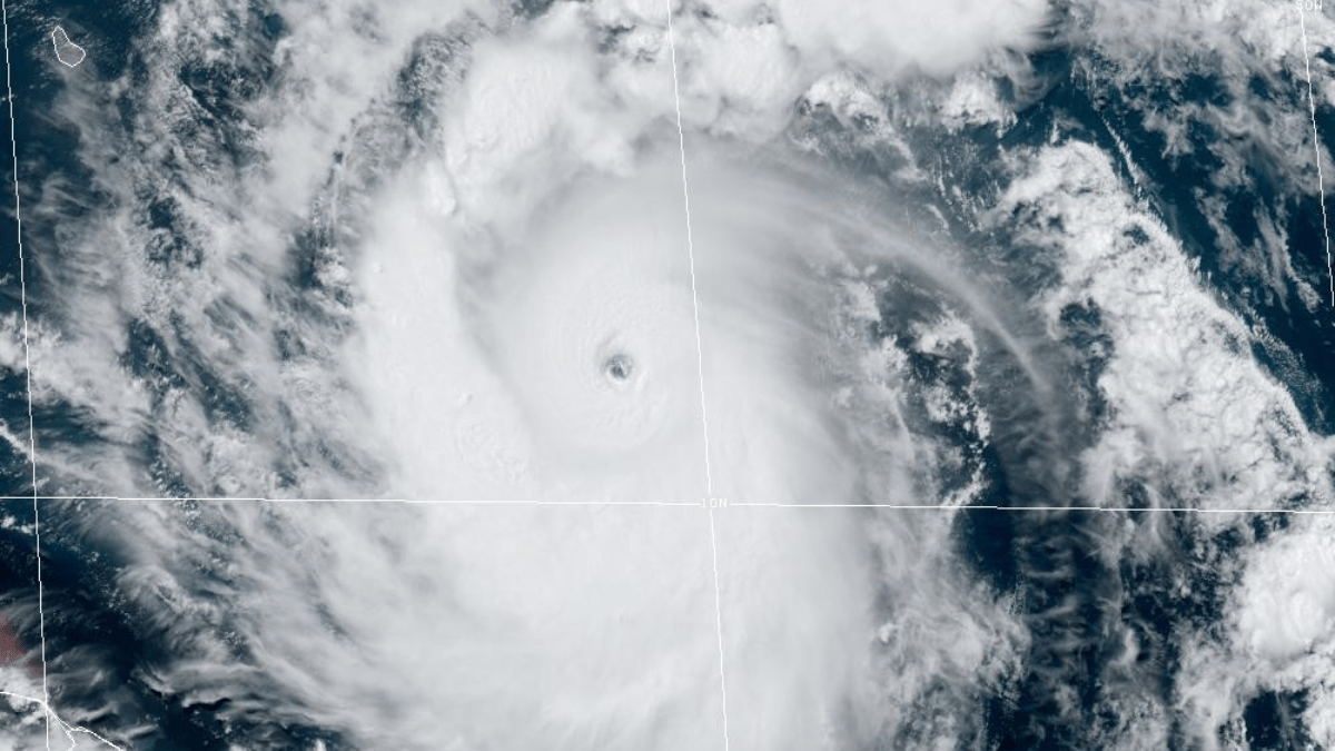 Hurricane Beryl in Jamaica, as South Florida community sends help  NBC 6 South Florida [Video]