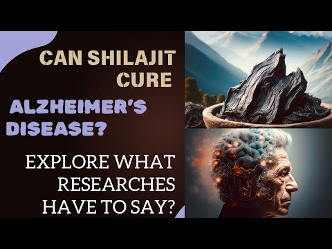 Can Shilajit Cure Alzheimer’s Disease? Explore What Researches have to Say. [Video]