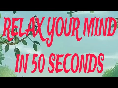 “50 Seconds of Mind Relaxation: Forest Scene with Bird Sounds” [Video]