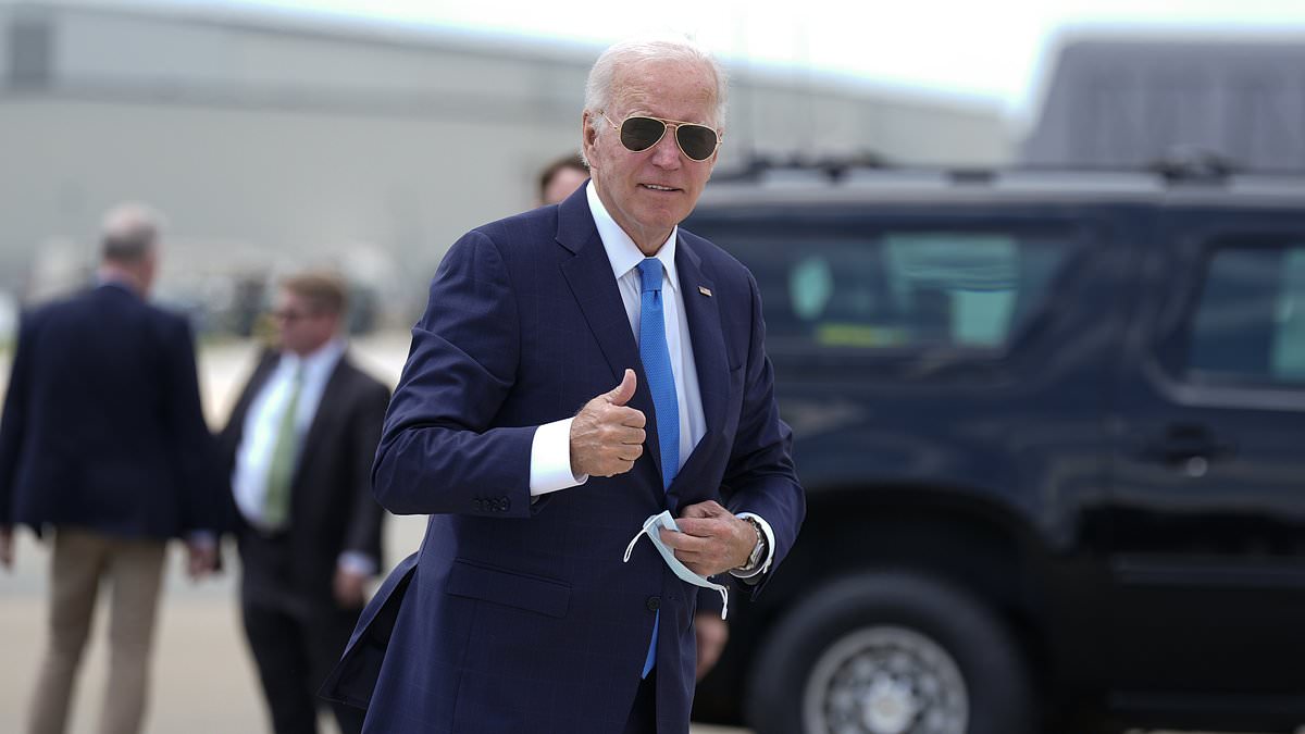 Democrats ADMIT Biden is unfit to lead their ticket but insist he’s still fine to run the country for now [Video]