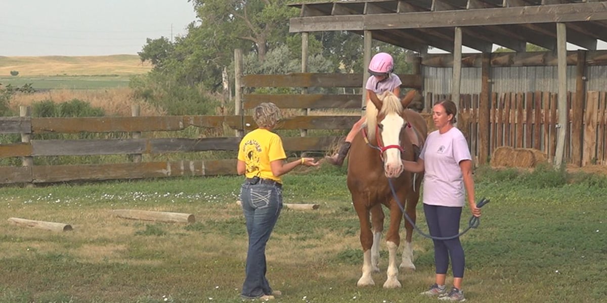 Suncatcher Invitational trots into the Central States Fairgrounds Saturday [Video]