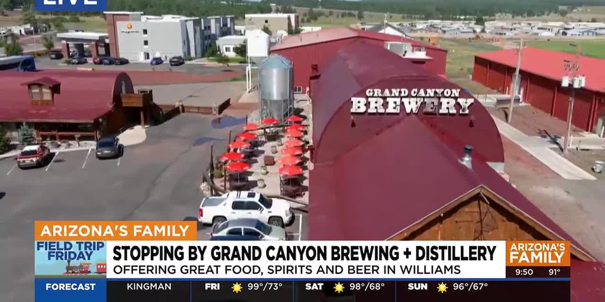 Grand Canyon Brewing and Distillery offers food, sprits and beer in Williams, Arizona [Video]